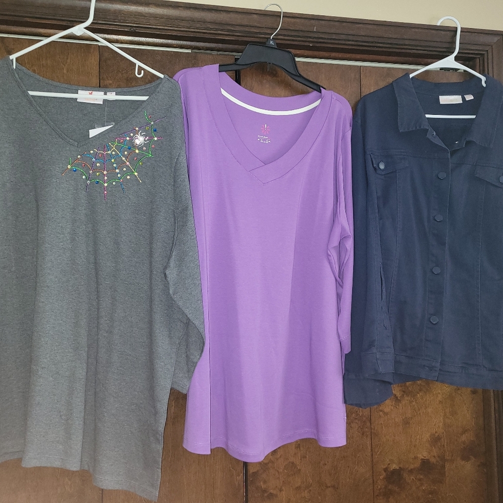 Huge Lot of Women's 3X QVC Tops